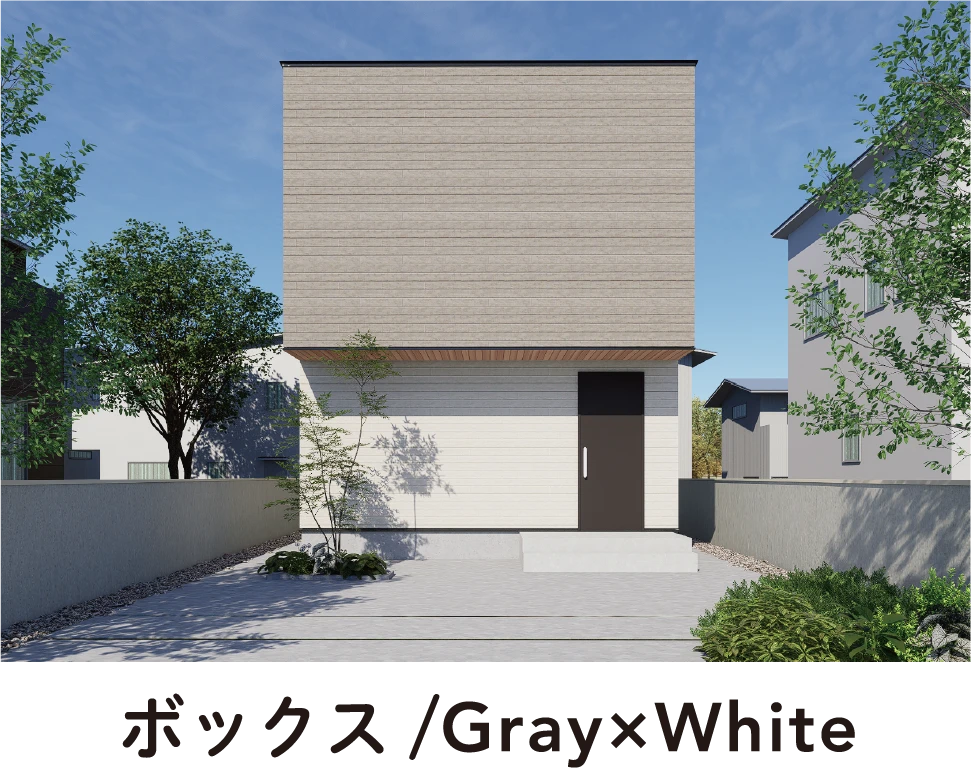 ボックス/Gray×White