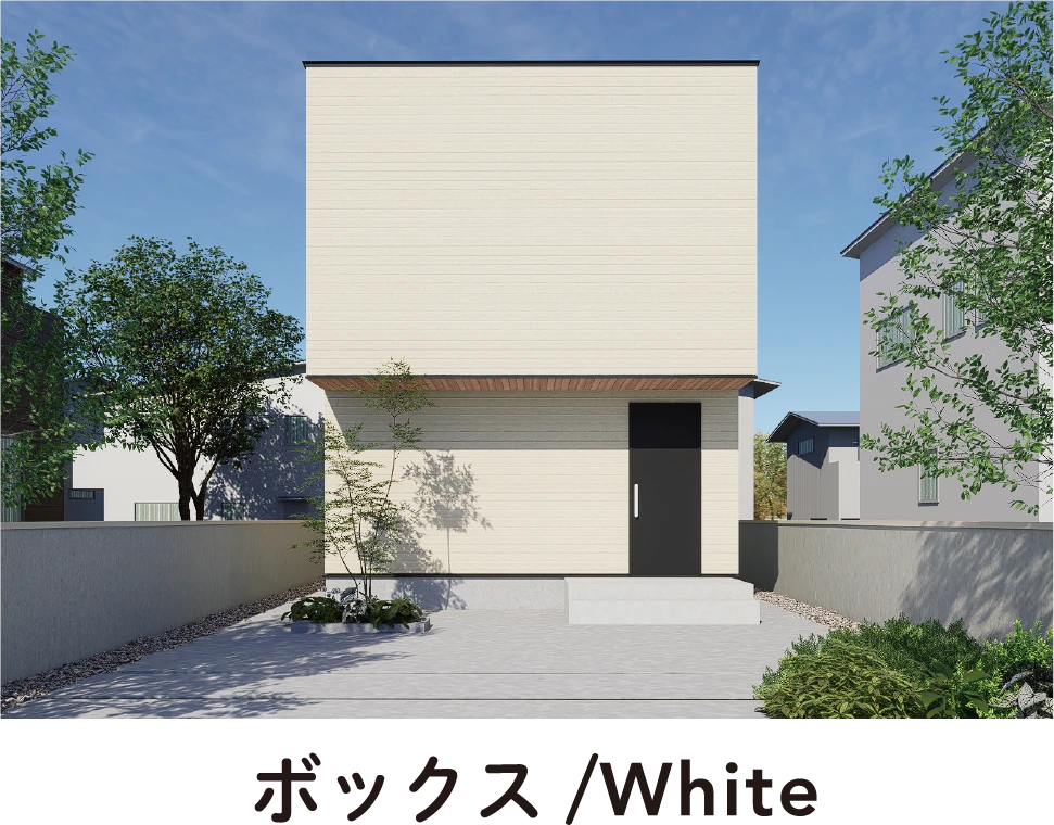 ボックス/White