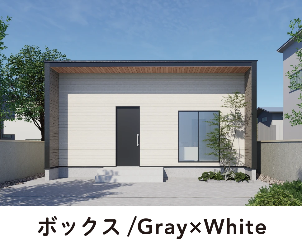 ボックス/Gray×White