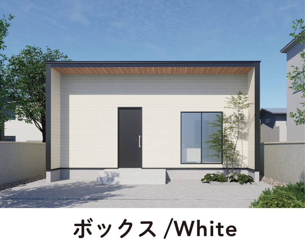 ボックス/White