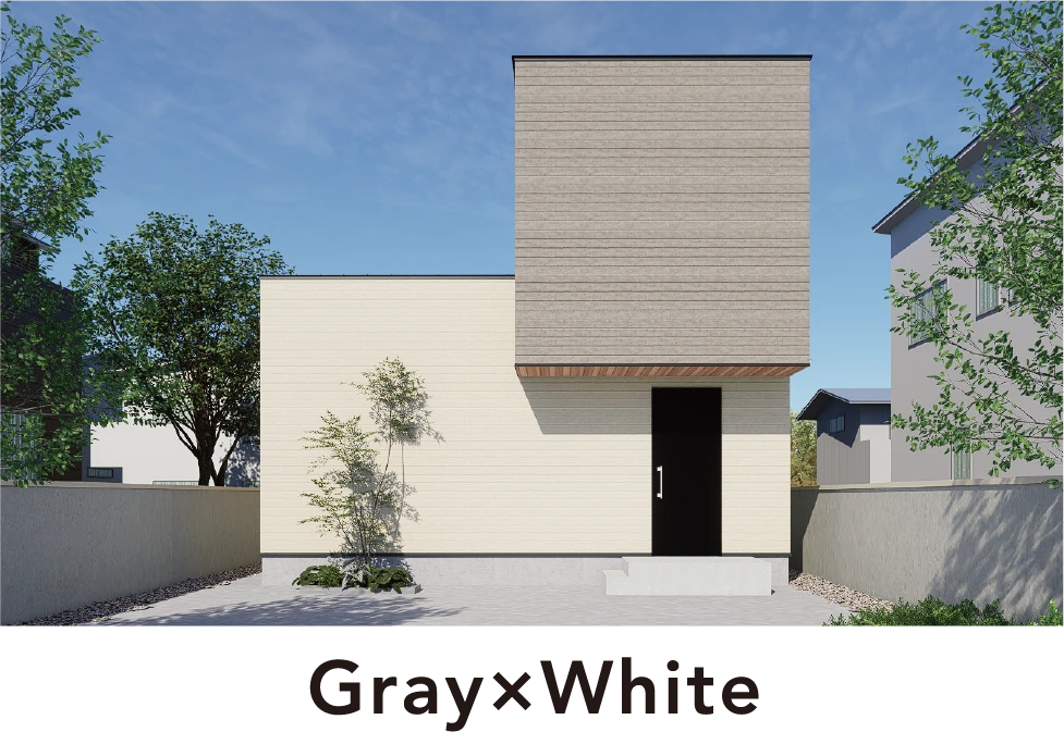 Gray×White