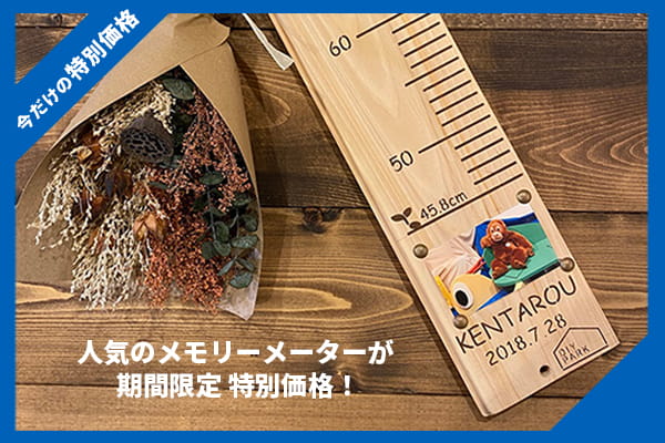 【6/11(木)～15(月)期間限定価格！】メモリーメーター